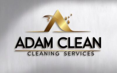 شركة رش حشرات بتبوك مكافحة حشرات